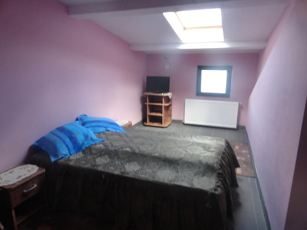 Hotel Pensiunea Mikelis International Curtea de Argeş Zimmer foto
